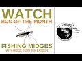 Bug of the month  midges with jon easdon flyfishing