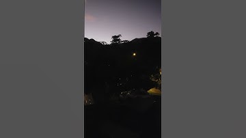 Thumbnail of the sounds of coqui frogs and more in Puerto Rico 🐸💦🇵🇷