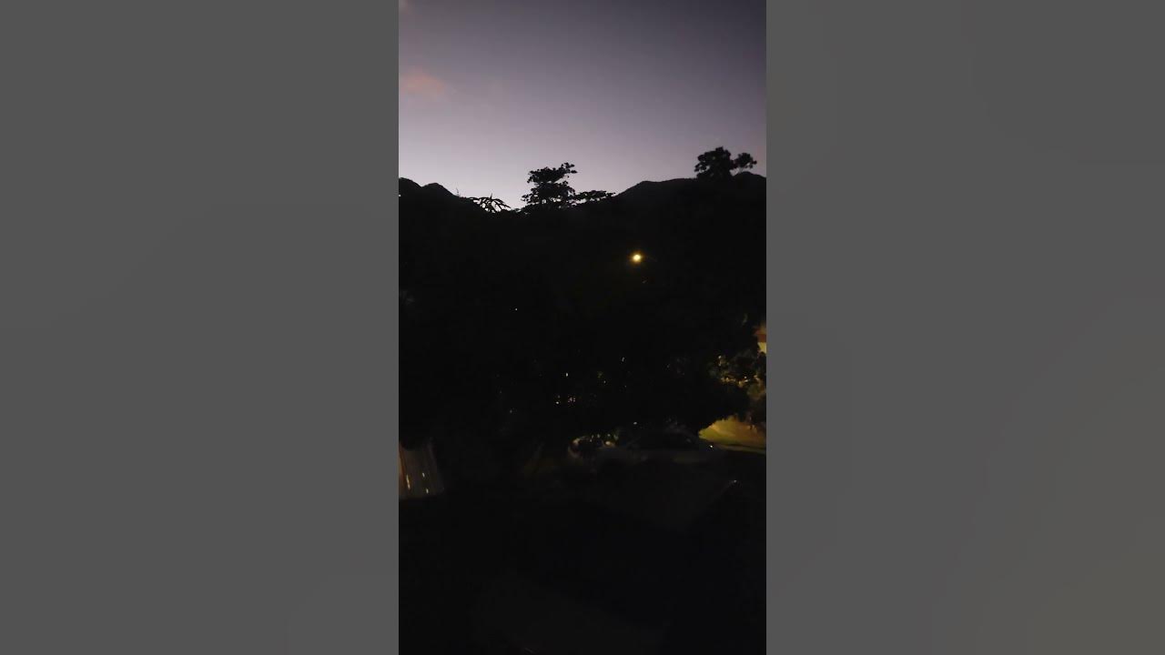 the sounds of coqui frogs and more in Puerto Rico 🐸💦🇵🇷