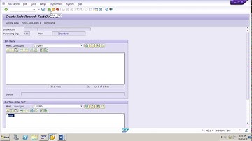 SAP MM Guide to Sources of supply part 1 Purch info record, overview, create and test Info Record