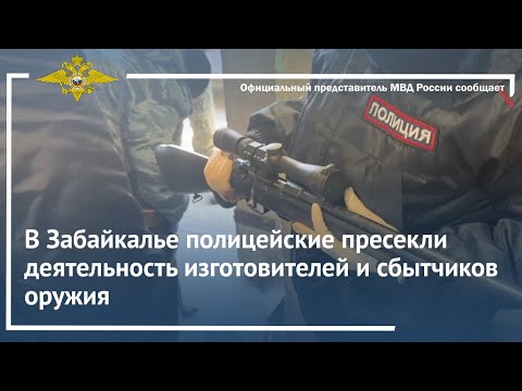 Ирина Волк: В Забайкалье полицейские пресекли деятельность изготовителей и сбытчиков оружия