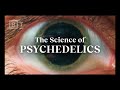 How psychedelics work, explained in under 6 minutes | Matthew Johnson