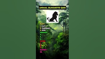 Can You Score 10/10?