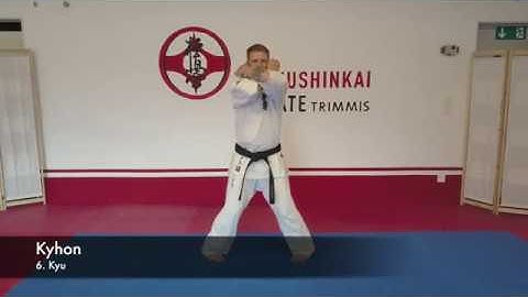 6.Kyu Kyokushinkai Kyhon