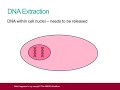 What happens to my sample - the NMRS workflow