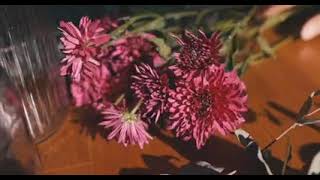 5925806 sd 426 226 30fps 1