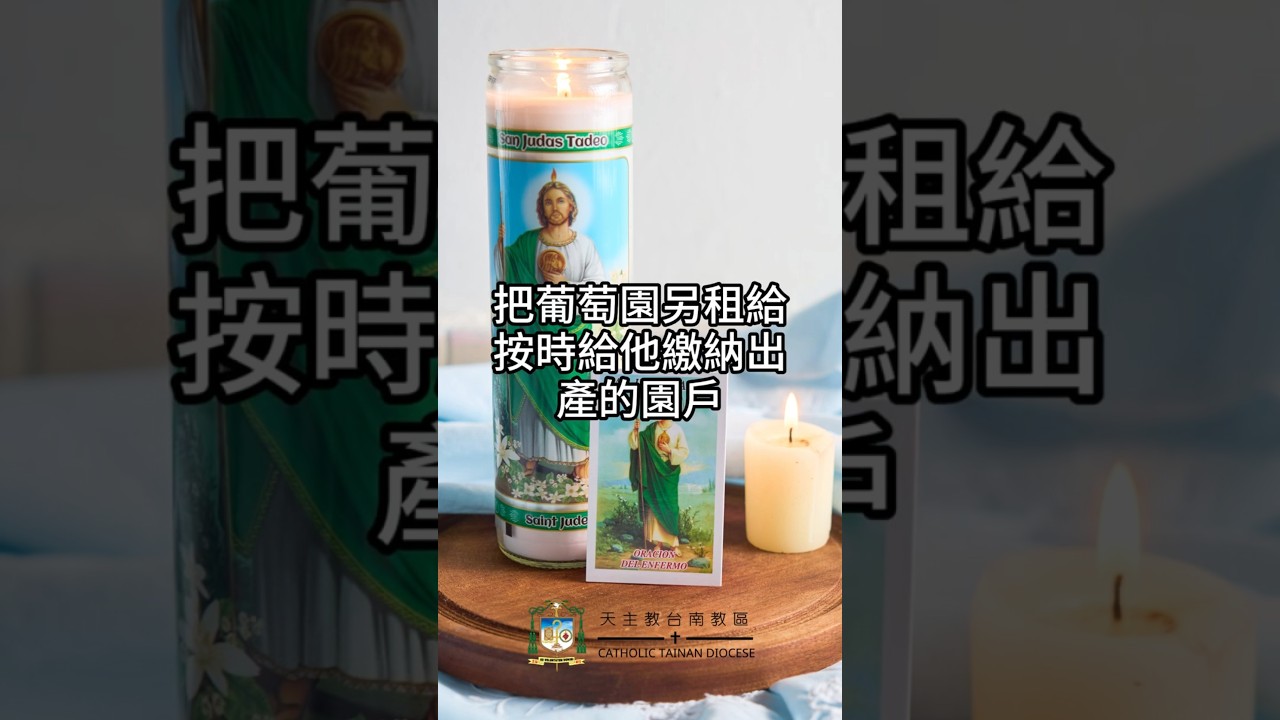 10/04  恭讀聖瑪竇福音　21:33-43   他把葡萄園，另租給按時給他繳納出產的園戶。