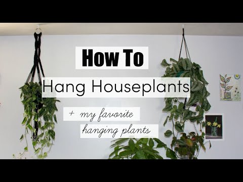 How To Hang Houseplants! | BEST Hanging Indoor Plants!