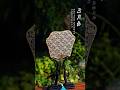 Handcrafted Chinese Round Fan | Ancient Art Reborn, Meaning of Blessing & Renewal