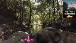 Music Hop Hop Music Tv Live