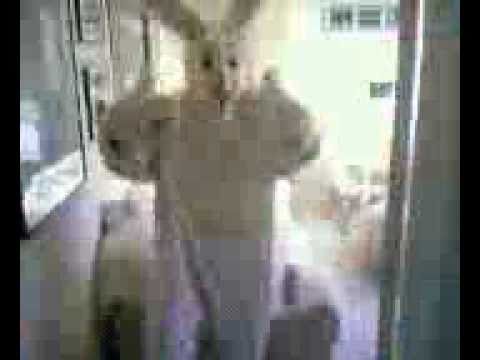 The Bunny Video