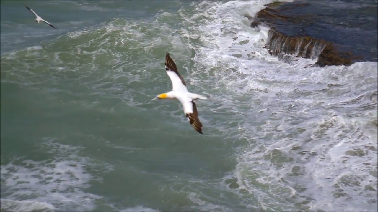 Karl Schaap-Distant. dB Eliyahu ReMix.