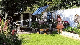 Strawberry runners, a new bird bath and a new tree! Weekly cottage garden vlog