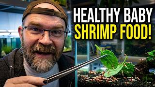 Feeding Shrimp Spinach: Best Method for Healthy Baby Shrimp!