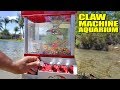 WORLD'S FIRST! Claw Machine Aquarium DIY