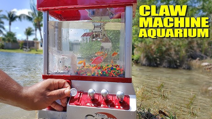 WORLD'S FIRST Coca-Cola Fish Aquarium DIY 