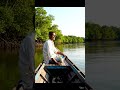 sunderban wildlife #AI#SHORT#VIRAL