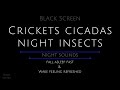 10 Hours Crickets and Cicadas Summer Night Sounds Crickets for Sleeping Cicadas Crickets mp3