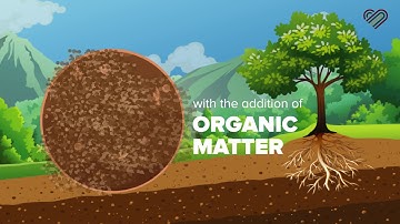 Soil Science: Biological Carbon Sequestration