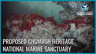 Proposed Chumash Heritage National Marine Sanctuary