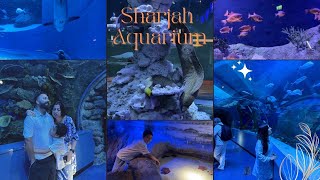 Sharjah Aquarium || From coral reefs and rock pools to lagoons and mangroves