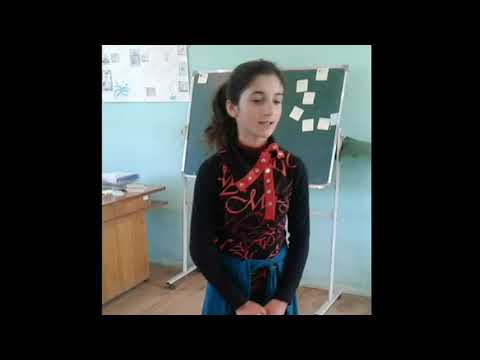 თანაბარი უფლებები