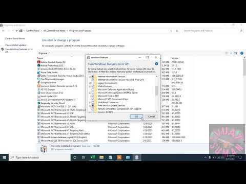 3 How to Enable CGI for IIS