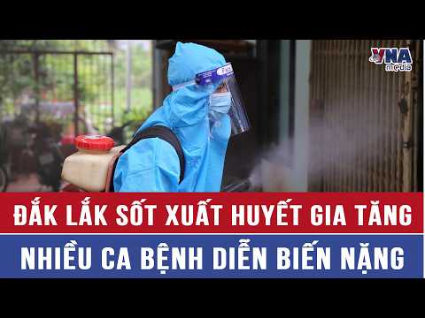 Đắk Lắk sốt xuất huyết gia tăng nhiều ca bệnh diễn biến nặng - VNAMedia
