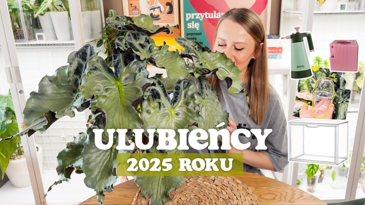 ULUBIEŃCY 2025 ROKU 🌱 / Ulubione i sprawdzone gadżety oraz akcesoria roślinne / Same perełki