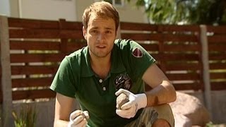 Как сделать сухой ручей? Ландшафтный дизайн