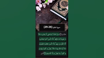 سورة البقرة الآية{26-29} القارئ ماهر المعقيلي #القرآن_الكريم #quran  #ماهر_المعيقلي  #القرآن_الكريم