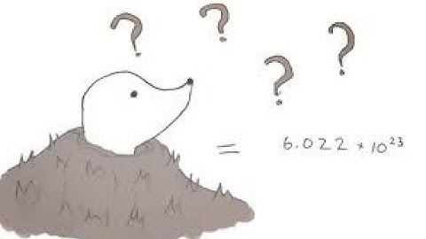 IB Chemistry Topic 1 revision!