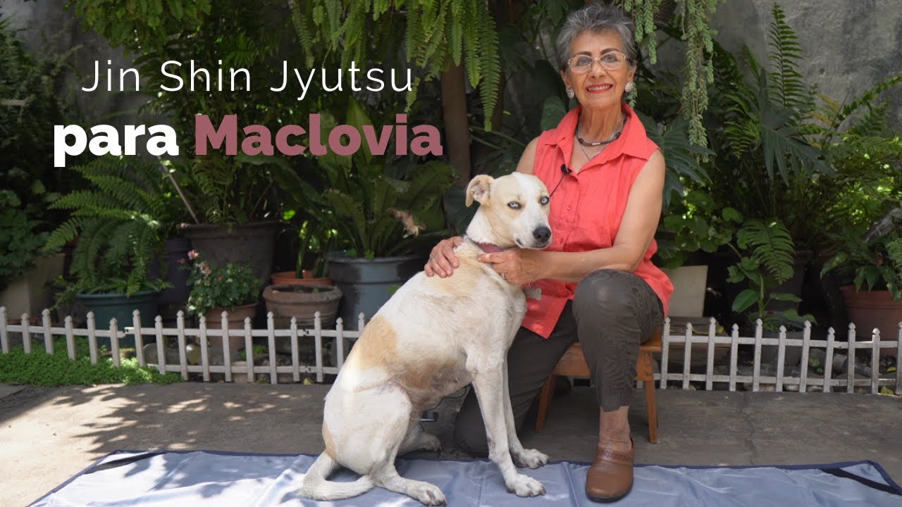 Jin Shin Jyutsu para Maclovia 🧘🏽‍♂️🐶🧘🏼 | Cuentos para niños 📚