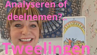 Tweelingen Analyseren of deelnemen? Mei 26 lartistic6924@gmail.com