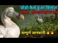 क्यों विलुप्त हुआ डोडो पक्षी || why dodo become extnict || by DESI explorer