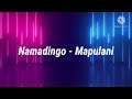 Namadingo - Mapulani lyrics