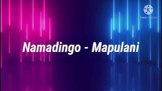 Namadingo - Mapulani lyrics