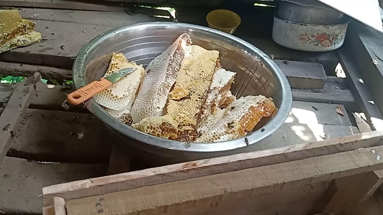 Khuai bu leh khawithlar sawn lai