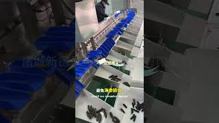The Zhucheng Xindesheng sea cucumber weight sorting machine is the core equipment for large-scale