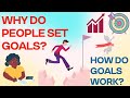 Why do people set goals? How do goals work?