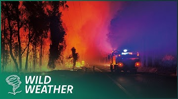 The Devastating Impact Of Australia