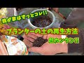 【土の再生方法】コレだけです！