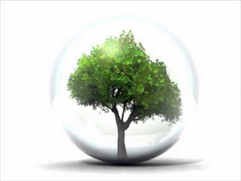 Παρακολούθηση Pierrot - Eco=system στο YouTube Παρακολούθηση Pierrot - Eco=system στο YouTube