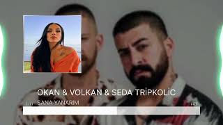 Okan & Volkan & Seda Tripkolic Sana Yanarım Remix Resimi
