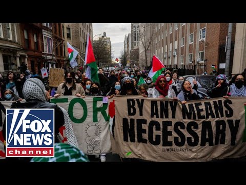 'Fox & Friends' reveals groups, funding behind anti-Israel protests.