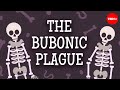 The past, present and future of the bubonic plague - Sharon N. DeWitte