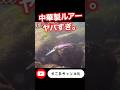 中国製ルアーがやばすぎた。#バス釣り #temu #ルアー