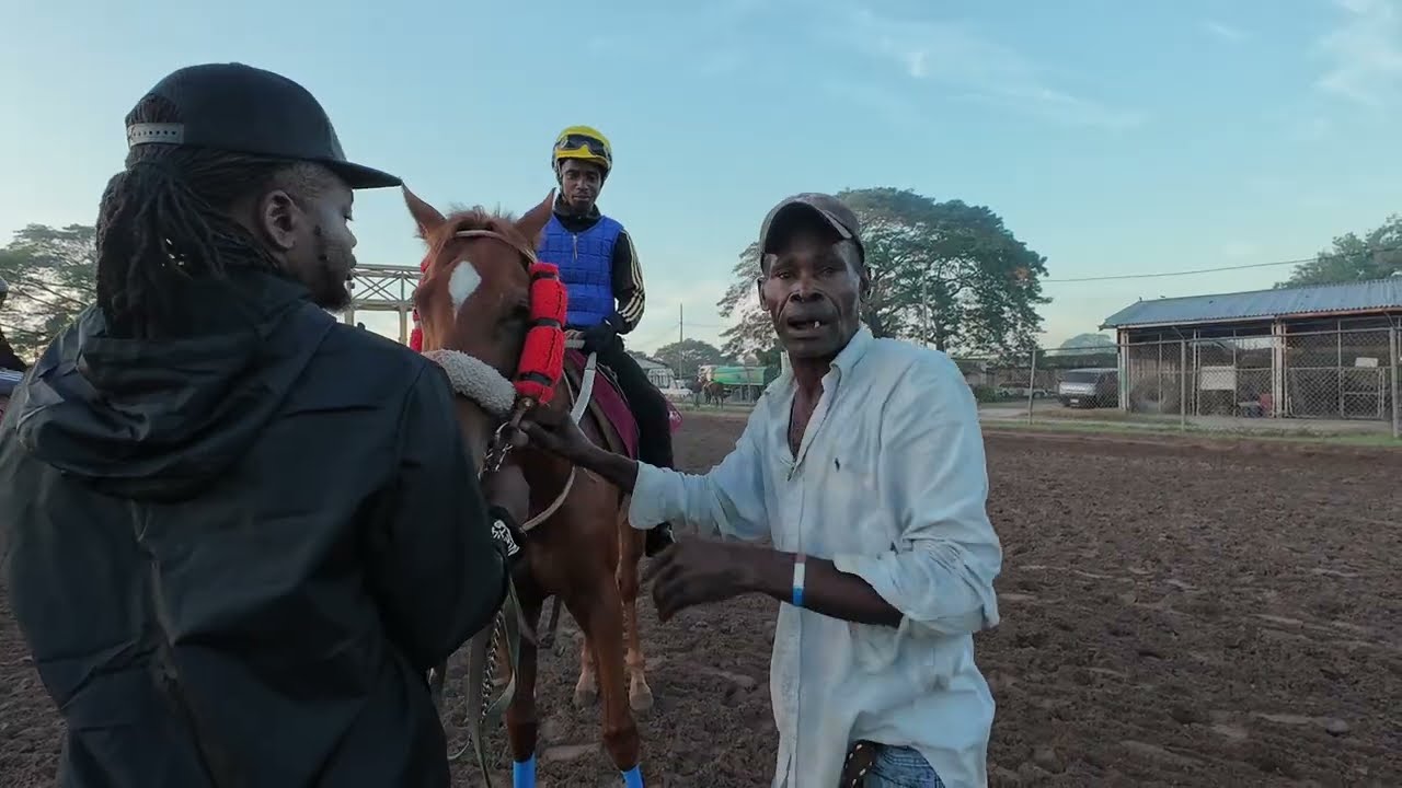 Ананас и 2-летний ребенок для А. Брауна, П. Линча, Г. Субрати. Утренняя тренировка в парке Кайманас.