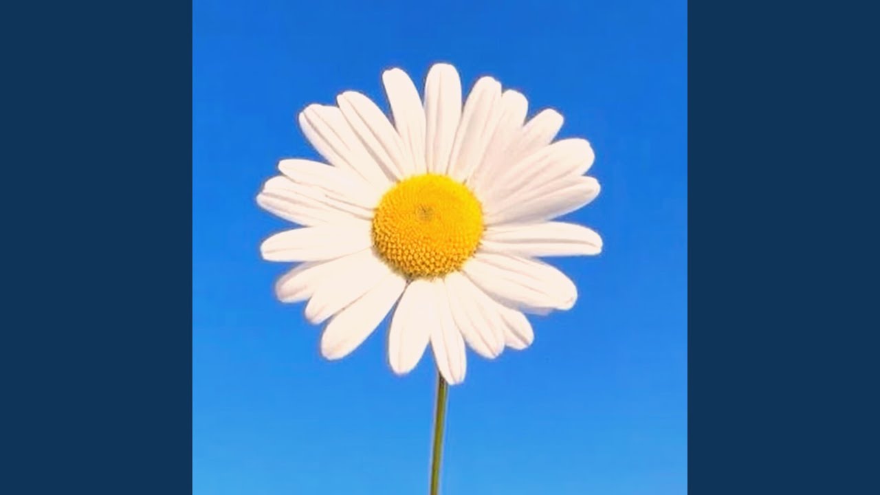 YouTubeでSun Againを視聴 YouTubeでSun Againを視聴