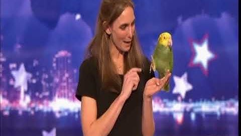 AGT - America